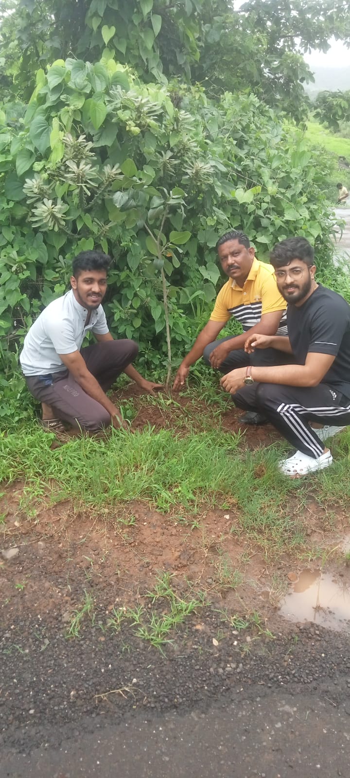 वृक्ष लागवड